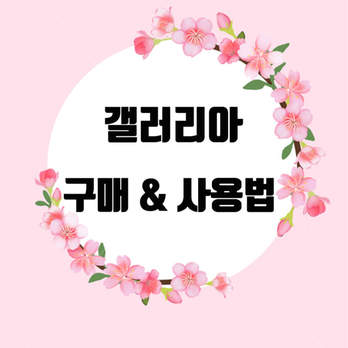 갤러리아 상품권 구매 안내: 안전하고 편리한 쇼핑을 위한 가이드